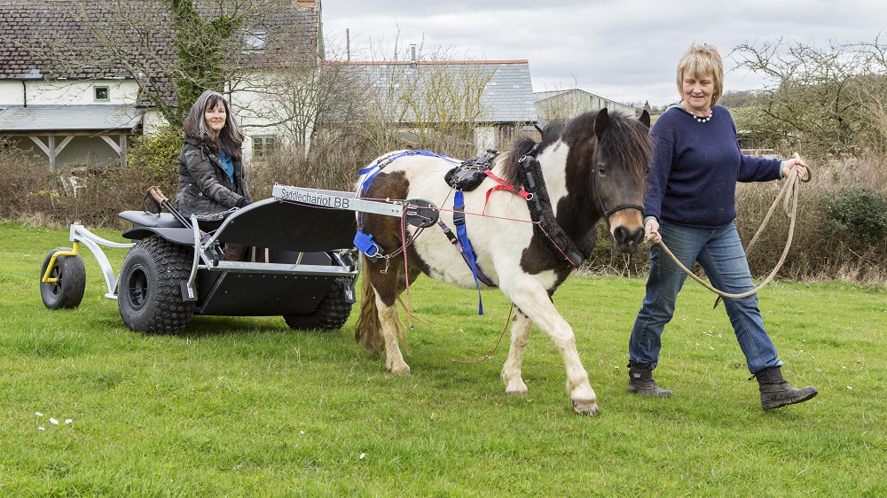 EAQ Horses4Courses